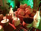 Yussara Kokosnuss Cocktailbar, Live Show Coconut Drinks, Malibu Rum, Yussara Cunha, Kokosnuss, Coconut Bar (29).jpg